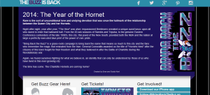 Screen Shot of Website